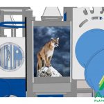 Cougar Recycled Plastic Playground