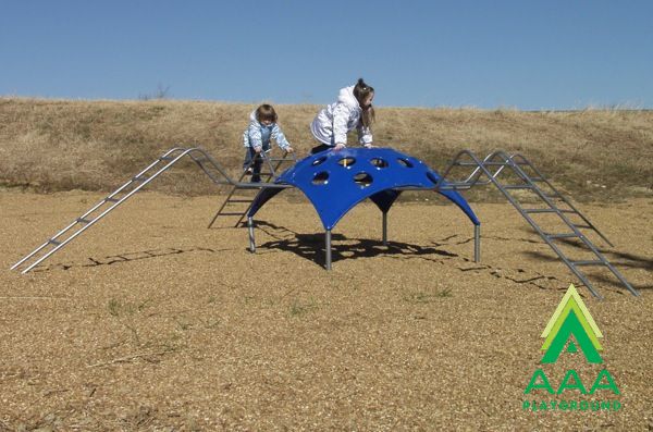 Charlotte The Spider Climber