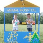 Animal Hospital Playhouse