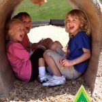 AAA Playground Log Tunnel