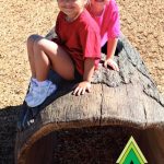 AAA Playground Log Tunnel