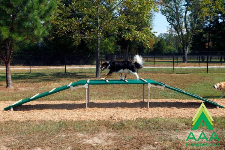 AAA Playground Dog Walk