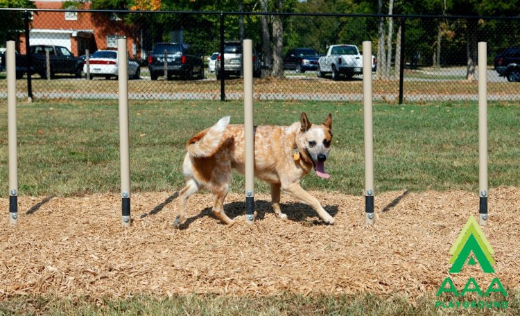 4-Piece Small Dog Kit